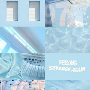 Meet your Posher, Sheyla